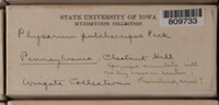 Image Associated With the Occurence